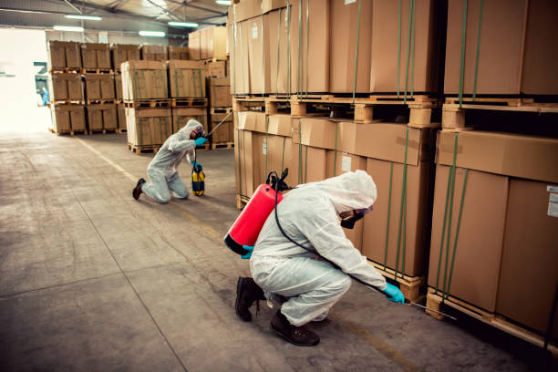 Best Pest Inspection Near Me  in Spring City, PA