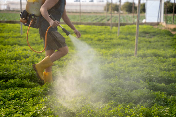 Best Commercial Pest Control Services  in Spring City, PA