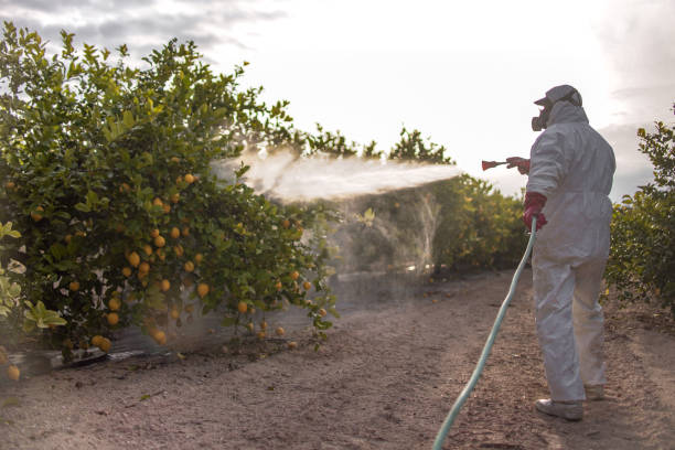 Best Exterminator Services  in Spring City, PA